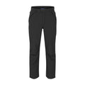 Grisdale Pants