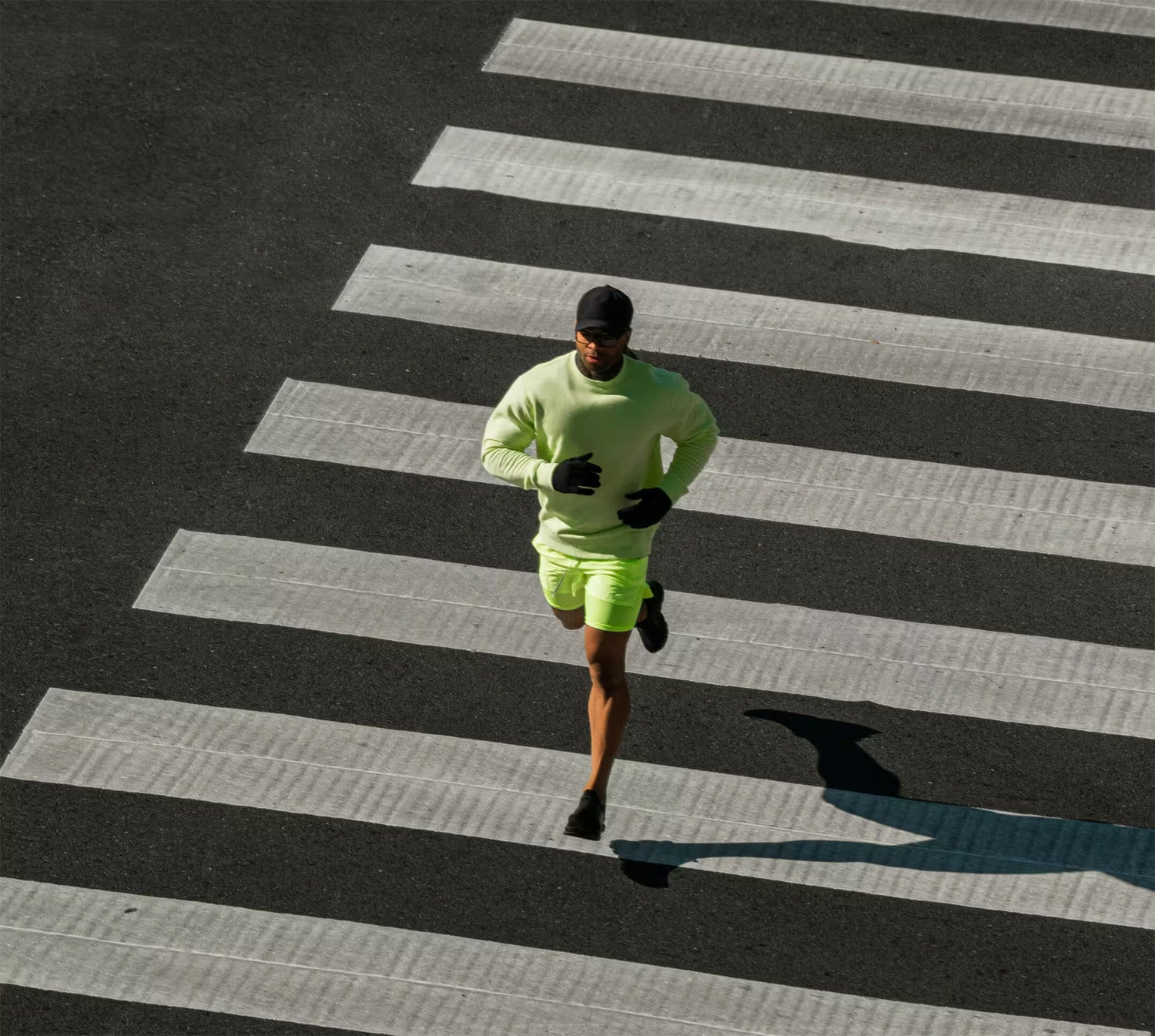 wearly-man-springer-gator